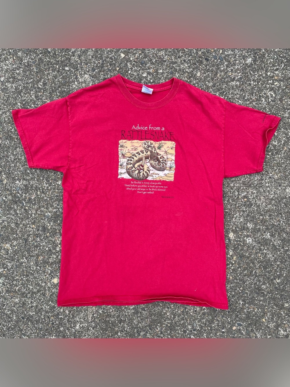 Y2k “advice from a rattlesnake” Coconino National Forest, Arizona t shirt large